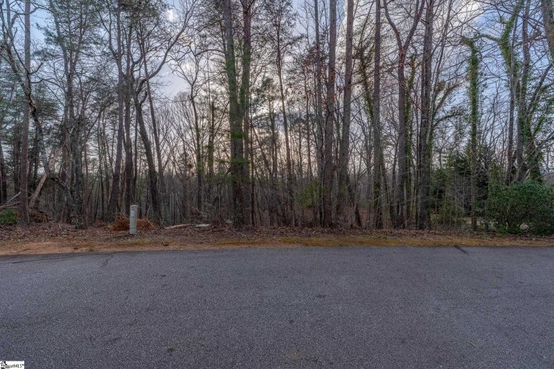 Property image 3 of 18 Rhone Valley Lane in Crescent Mountain Vineyard, Travelers Rest, SC 29690