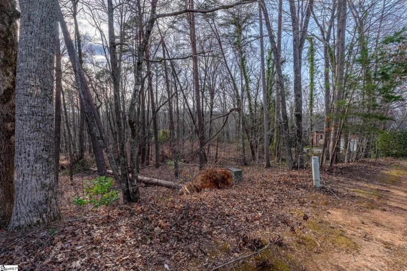 Property image 5 of 18 Rhone Valley Lane in Crescent Mountain Vineyard, Travelers Rest, SC 29690