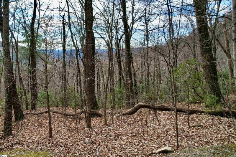 1329 Panther Park Trail