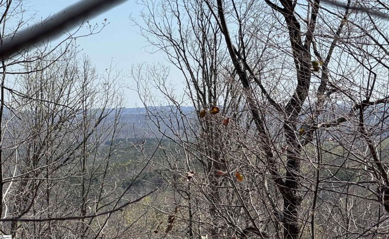 Property image 2 of 32497 Goforth Road in Lake Lanier, Landrum, SC 29356