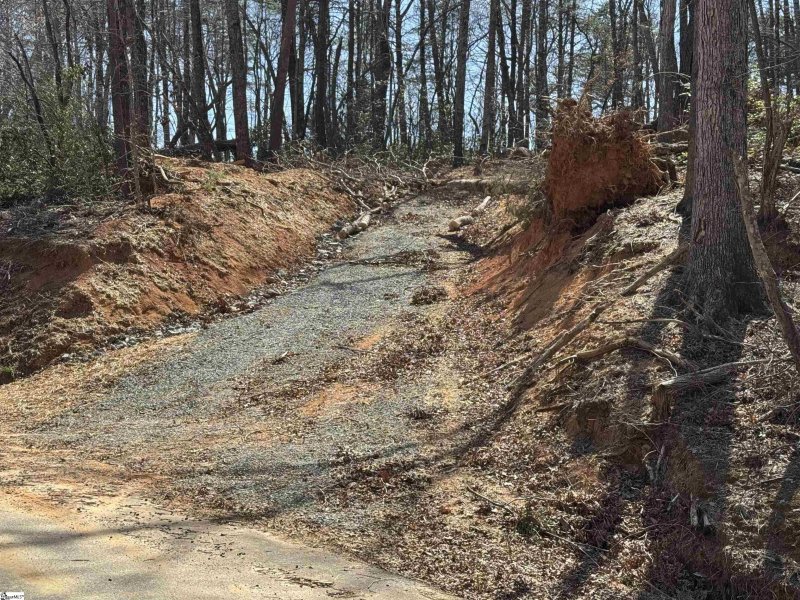 Property image 3 of 32497 Goforth Road in Lake Lanier, Landrum, SC 29356