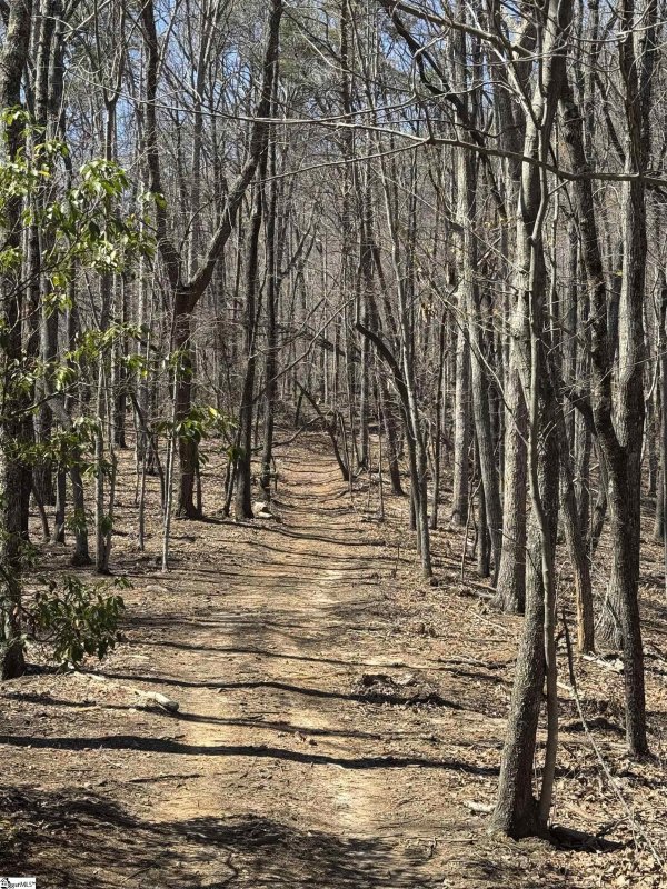 Property image 4 of 32497 Goforth Road in Lake Lanier, Landrum, SC 29356