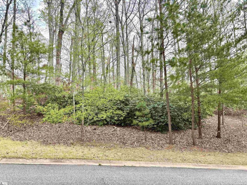15 Timberline Drive