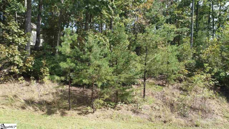 Property image 3 at 15 Timberline Drive, Travelers Rest, SC 29690