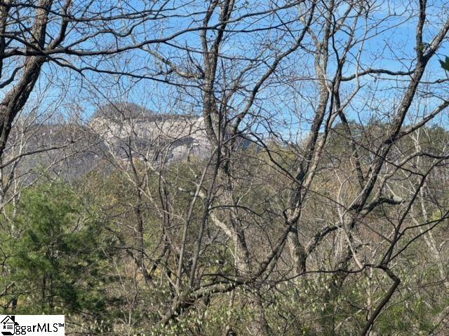 Property image 2 of Ledge Road in River Bluff, Cleveland, SC 29635