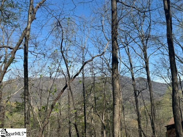 Property image 3 of Ledge Road in River Bluff, Cleveland, SC 29635