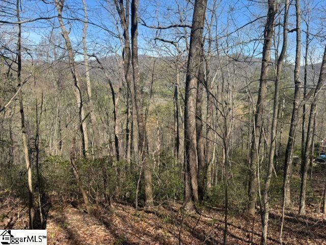 Property image 4 of Ledge Road in River Bluff, Cleveland, SC 29635