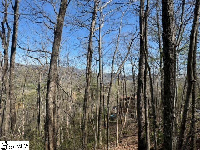 Property image 5 of Ledge Road in River Bluff, Cleveland, SC 29635