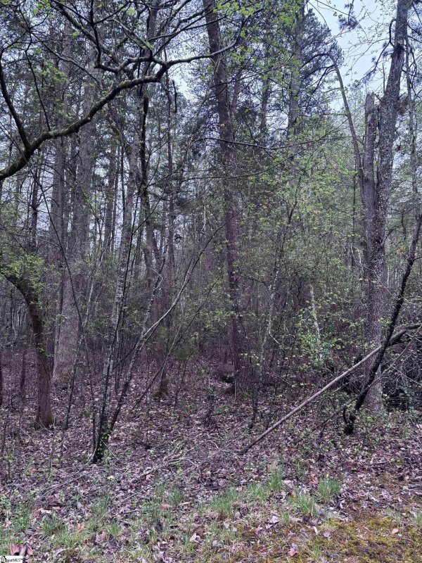 Property image 4 at 200 Eastlake Court, Seneca, SC 29672