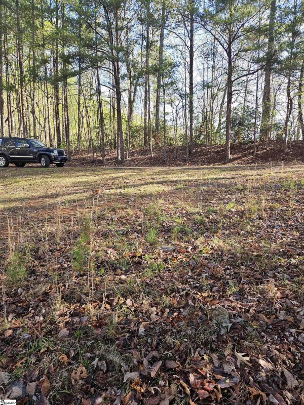 Property image 2 of 139 Whispering Falls Drive in The Rock at Jocassee, Pickens, SC 29671