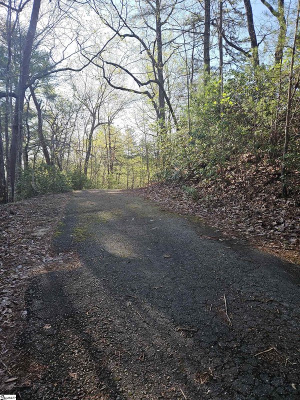 Property image 3 of 139 Whispering Falls Drive in The Rock at Jocassee, Pickens, SC 29671