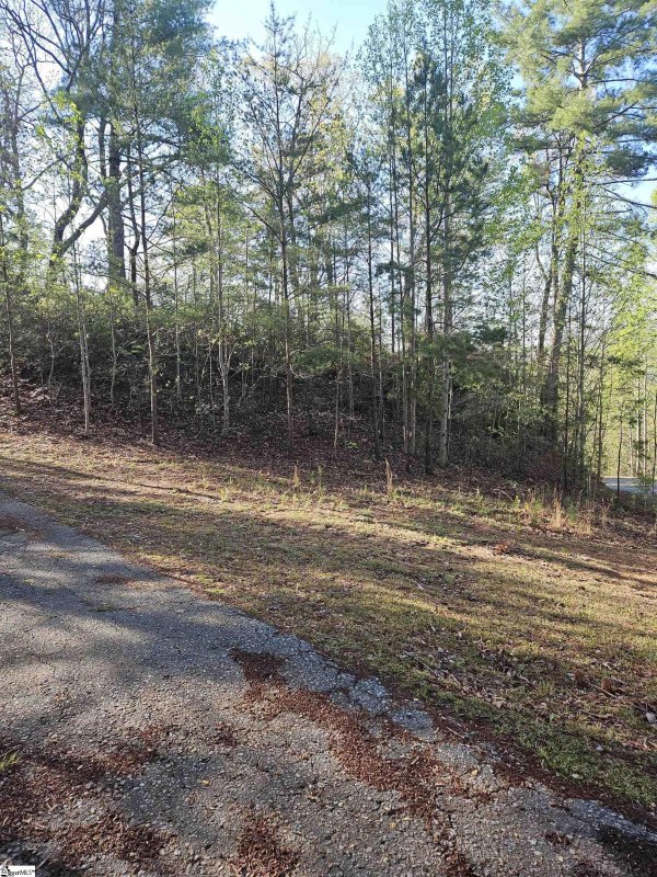 Property image 4 of 139 Whispering Falls Drive in The Rock at Jocassee, Pickens, SC 29671