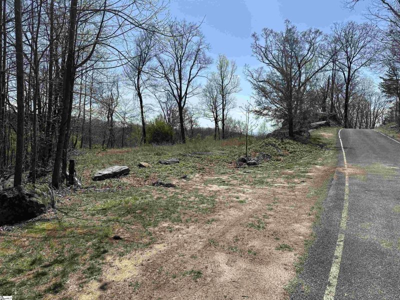 Property image 3 of 20 Falling Star Way in The Cliffs at Glassy, Landrum, SC 29356-3329