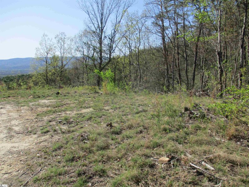 Property image 4 at 259 Jocassee Ridge Way, Salem, SC 29676