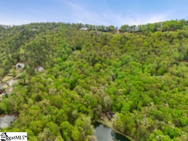 Property image 2 of 19287 Patrol Club Road in Laurel Ridge, Greenville, SC 29609
