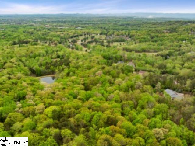 Property image 4 of 19287 Patrol Club Road in Laurel Ridge, Greenville, SC 29609