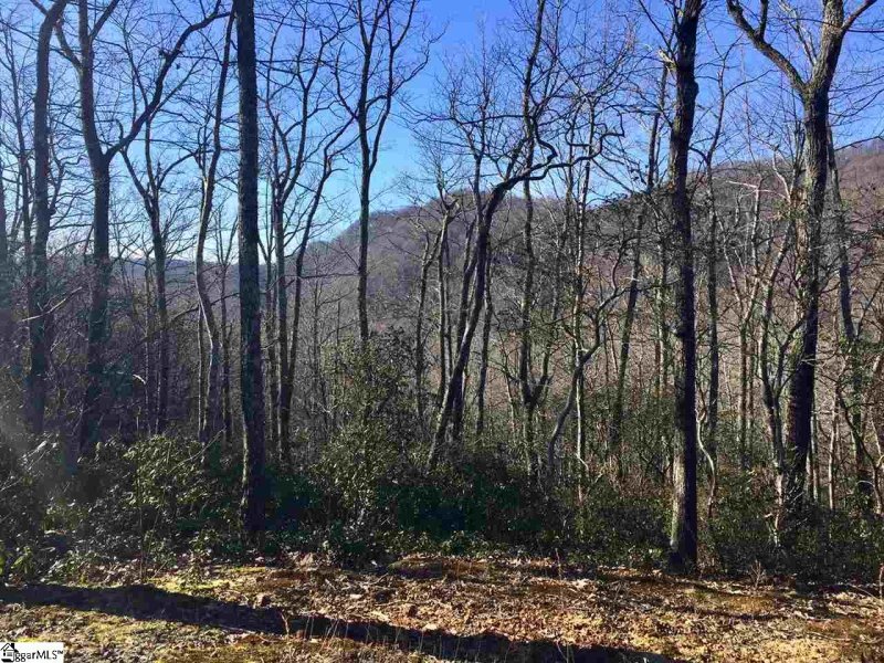 Property image 2 of 107 Sunfire Court in Cliffs Valley, Travelers Rest, SC 29690