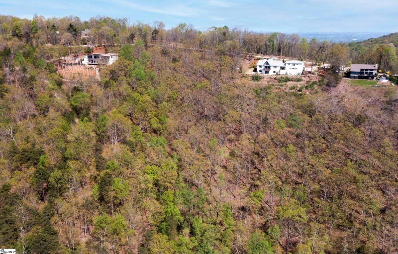Property image 2 of Altamont Road in Laurel Ridge, Greenville, SC 29609