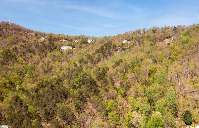 Property image 4 of Altamont Road in Laurel Ridge, Greenville, SC 29609