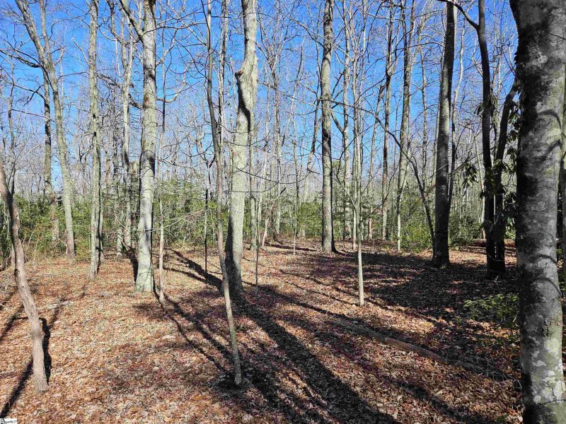 Property image 2 at 6 10 Larkspur Lane, Cleveland, SC 29635