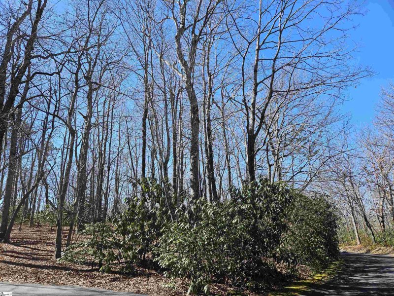 Property image 3 at 6 10 Larkspur Lane, Cleveland, SC 29635