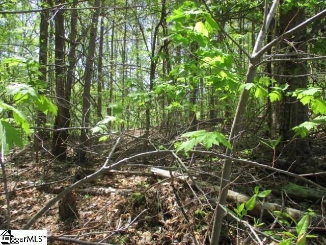 Property image 5 at 596 Laurel Drive, Westminster, SC 29693