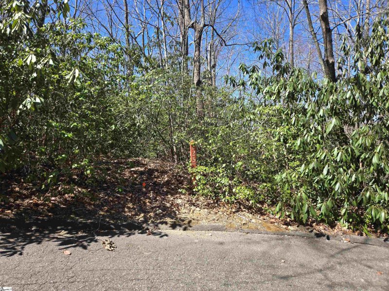 Property image 3 of 11 Larkspur Lane in Cliff Ridge at Caesars Head, Cleveland, SC 29635