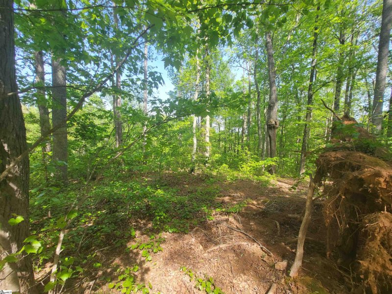 Property image 4 of 121 Laurel Valley Way in The Woodlands at Cherokee Valley, Travelers Rest, SC 29690