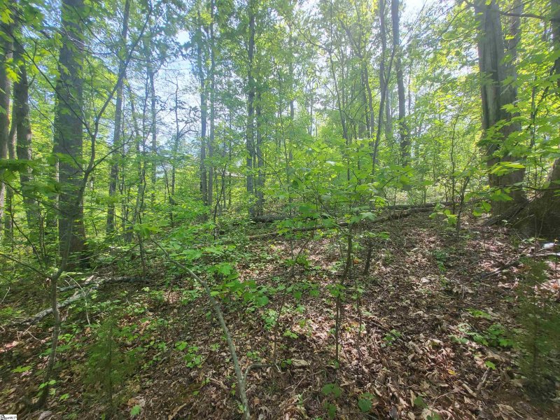 Property image 5 of 121 Laurel Valley Way in The Woodlands at Cherokee Valley, Travelers Rest, SC 29690