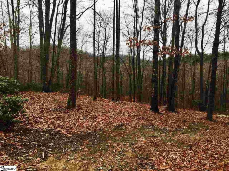 Property image 2 of 7 Lookout Ridge Drive in Cliffs Valley, Travelers Rest, SC 29690