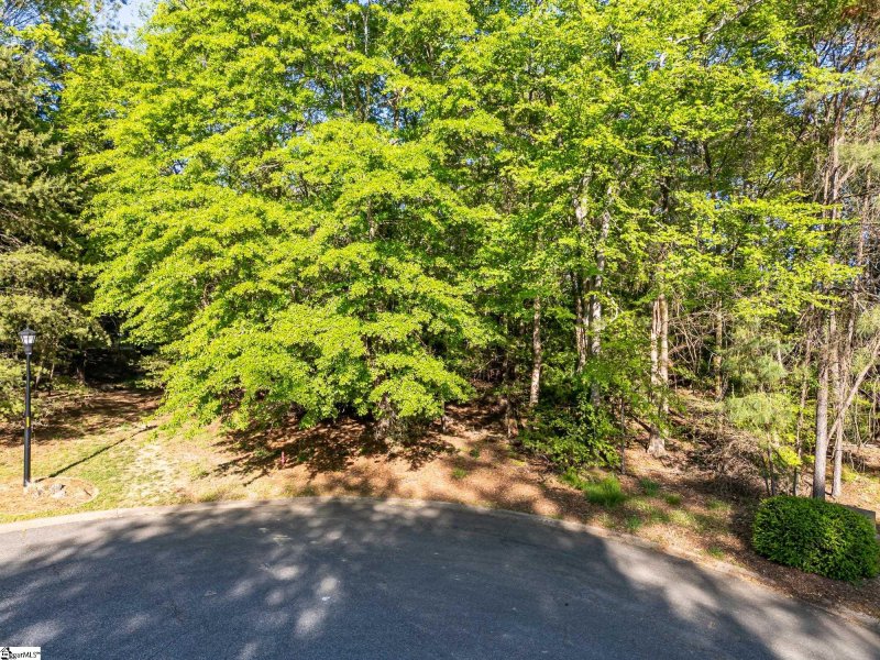 Property image 2 at 160 Turnberry Drive, Spartanburg, SC 29306