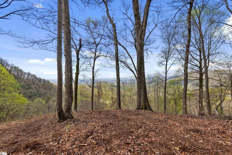 Property image 3 of 21 High Laurel Way in Cliffs Valley, Travelers Rest, SC 29690