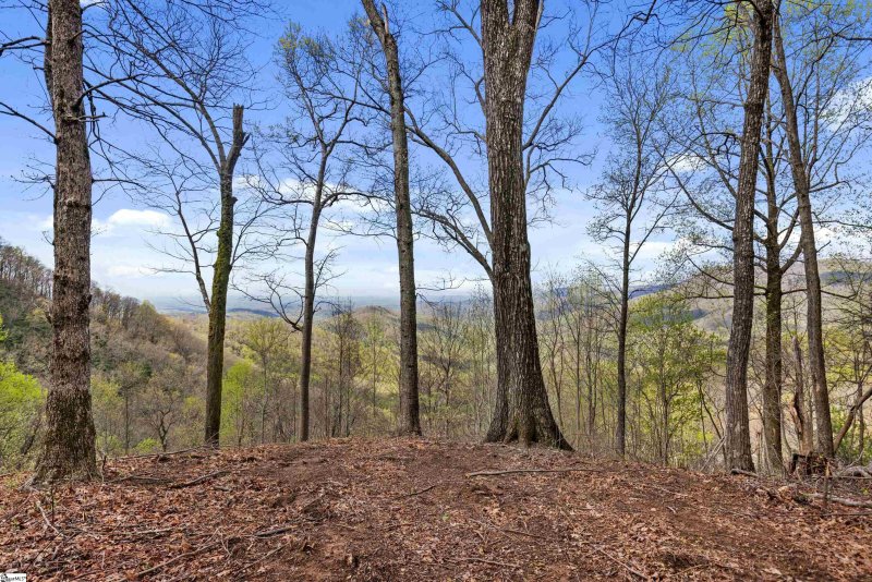 Property image 4 of 21 High Laurel Way in Cliffs Valley, Travelers Rest, SC 29690