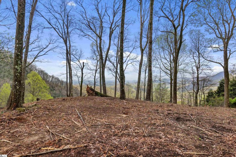 Property image 5 of 21 High Laurel Way in Cliffs Valley, Travelers Rest, SC 29690