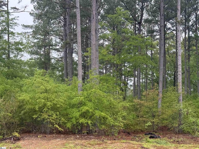 Property image 3 of 0 Harbor Point Road in Harbor Point, Seneca, SC 29672