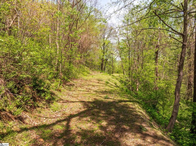 Property image 4 of 809 Plumley Summit Drive in The Cliffs at Glassy, Landrum, SC 29356