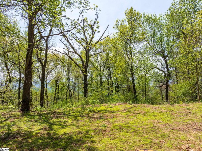 Property image 5 of 809 Plumley Summit Drive in The Cliffs at Glassy, Landrum, SC 29356