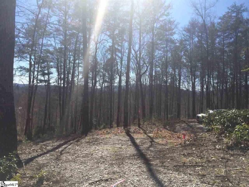Property image 3 of 18 Angle Stone Way in Cliffs Valley, Travelers Rest, SC 29690