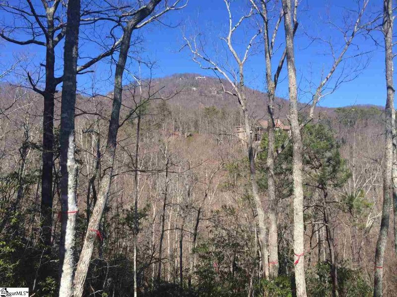 Property image 4 of 18 Angle Stone Way in Cliffs Valley, Travelers Rest, SC 29690