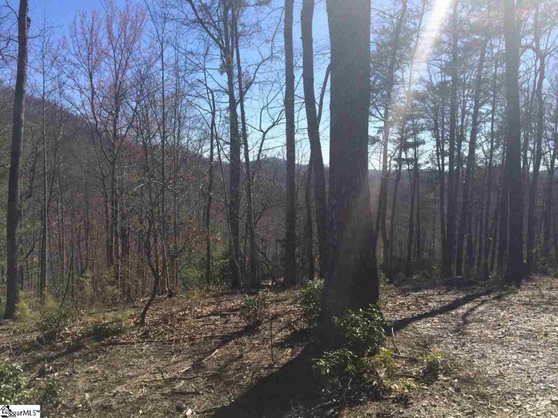 Property image 5 of 18 Angle Stone Way in Cliffs Valley, Travelers Rest, SC 29690