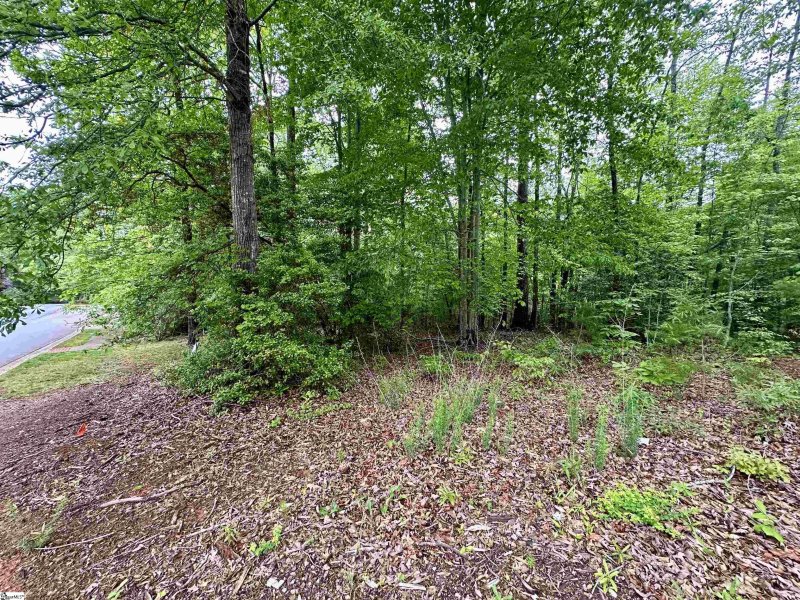 Property image 2 at 700 Acadia Avenue, Piedmont, SC 29673