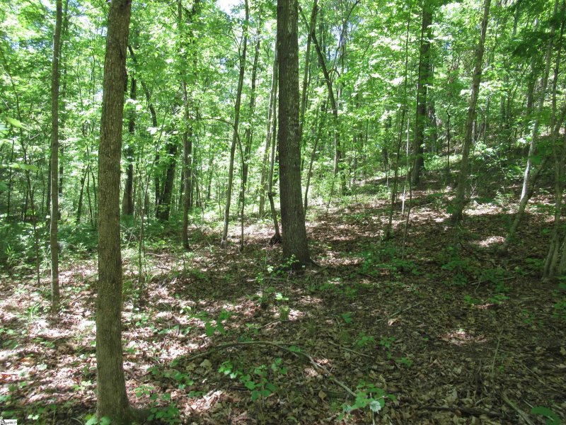 Property image 3 at 6 Emerald Crest Lane, Cleveland, SC 29635