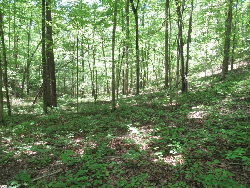 Property image 4 at 6 Emerald Crest Lane, Cleveland, SC 29635