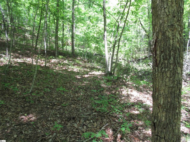 Property image 5 at 6 Emerald Crest Lane, Cleveland, SC 29635