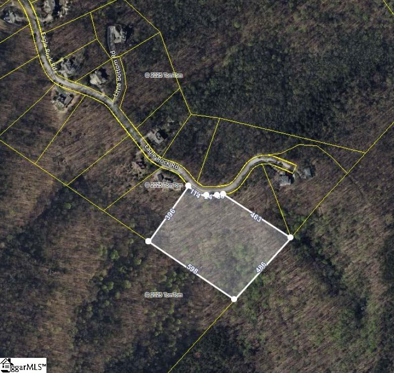 Property image 2 of 206 Eagle Rock Road in The Cliffs at Glassy, Landrum, SC 29356