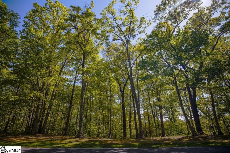 Property image 2 of 633 Plumley Summit Road in The Cliffs at Glassy, Landrum, SC 29356