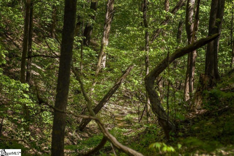 Property image 5 of 633 Plumley Summit Road in The Cliffs at Glassy, Landrum, SC 29356