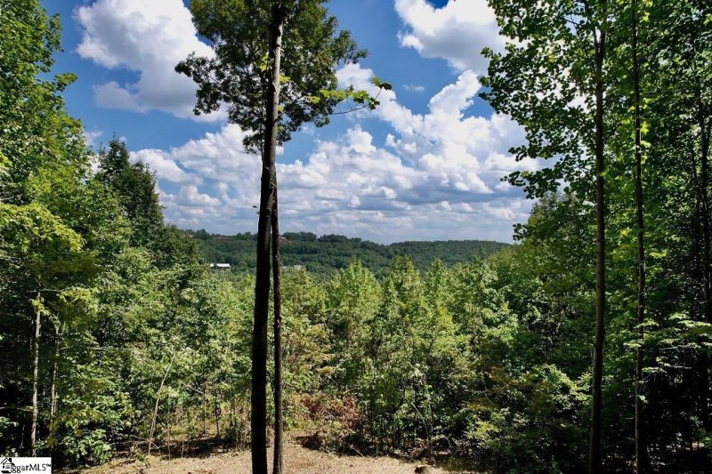 Property image 4 at 501 Blue Bonnet Trail, Marietta, SC 29661