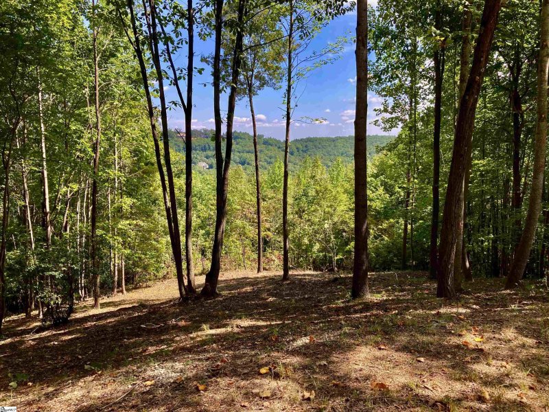 Property image 5 at 501 Blue Bonnet Trail, Marietta, SC 29661