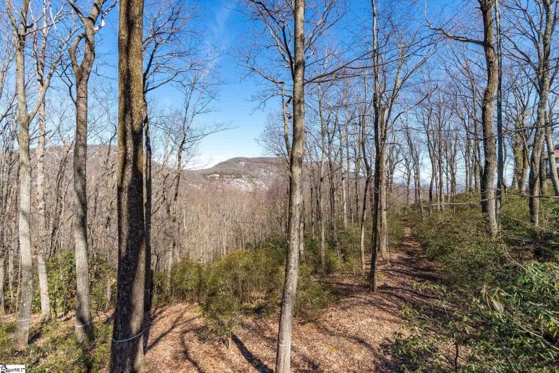 Property image 3 of 248 May Apple Way in The Cliffs at Glassy, Landrum, SC 29356